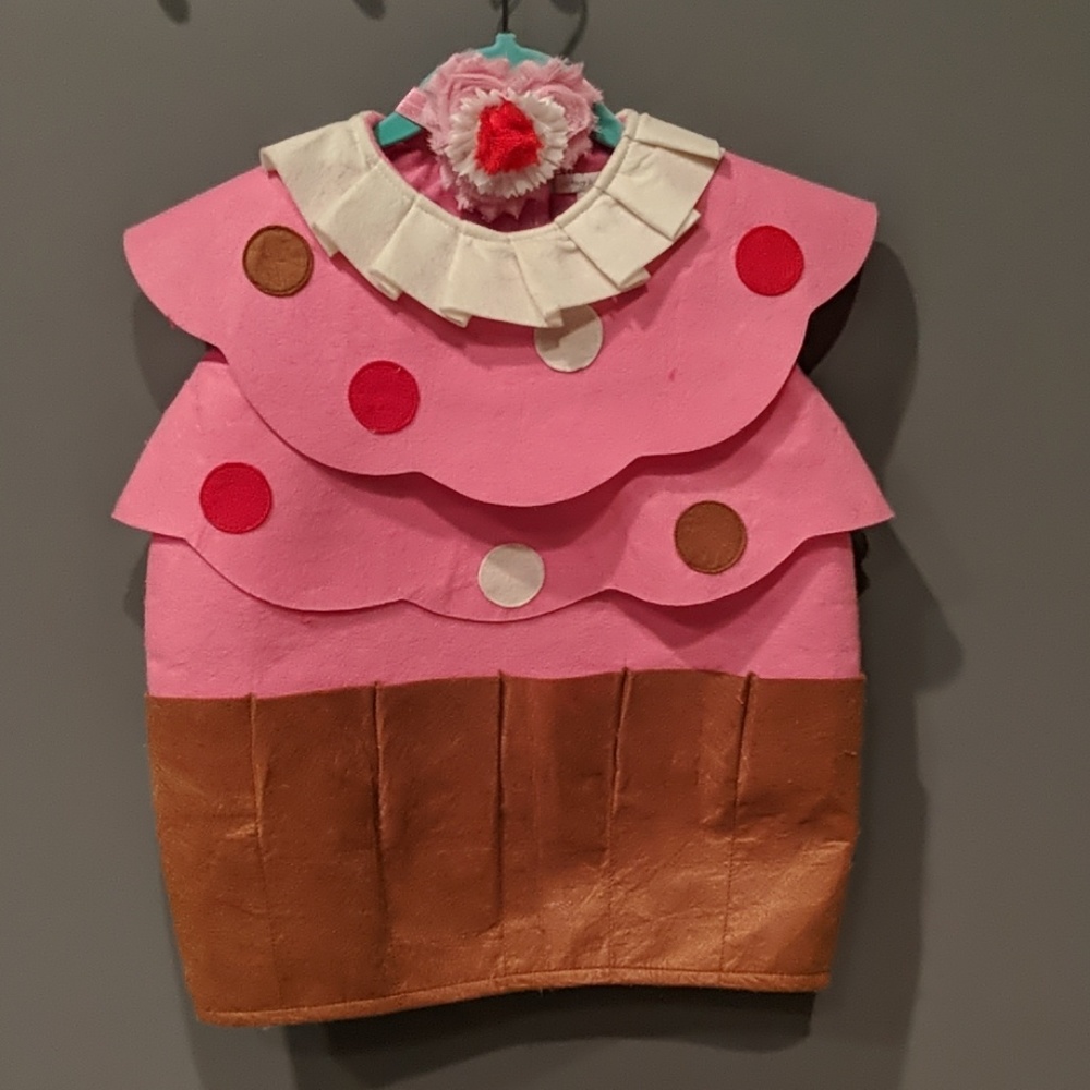 Cupcake Halloween Costume Pottery Barn